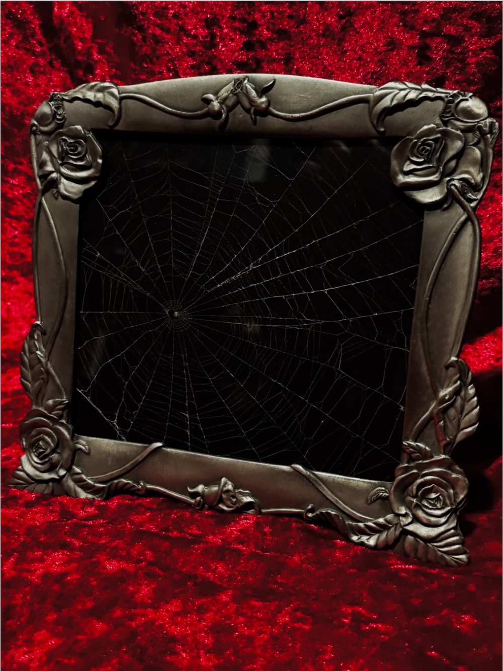 Framed spiderweb